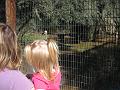 2nd Birthday at the zoo 43